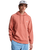 The Quiksilver Mens Basic Hoodie in Desert Sand
