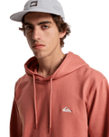 The Quiksilver Mens Basic Hoodie in Desert Sand