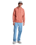 The Quiksilver Mens Basic Hoodie in Desert Sand