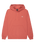 The Quiksilver Mens Basic Hoodie in Desert Sand