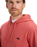 The Quiksilver Mens Basic Hoodie in Mustard