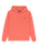 The Quiksilver Mens Basic Hoodie in Mustard