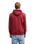 The Quiksilver Mens Basic Hoodie in Oxblood Red