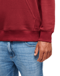 The Quiksilver Mens Basic Hoodie in Oxblood Red