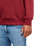 The Quiksilver Mens Basic Hoodie in Oxblood Red