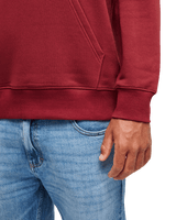 The Quiksilver Mens Basic Hoodie in Oxblood Red