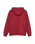 The Quiksilver Mens Basic Hoodie in Oxblood Red