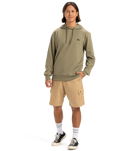 The Quiksilver Mens Basic Hoodie in Aloe