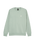 The Quiksilver Mens Basic Sweatshirt in Iceberg Green