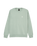 The Quiksilver Mens Basic Sweatshirt in Iceberg Green