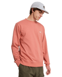 The Quiksilver Mens Basic Sweatshirt in Desert Sand