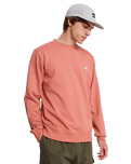 The Quiksilver Mens Basic Sweatshirt in Desert Sand