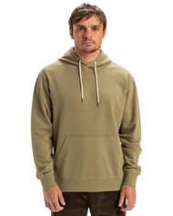 Salt Water Hoodie in Aloe