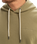 Salt Water Hoodie in Aloe