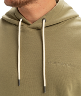 Salt Water Hoodie in Aloe