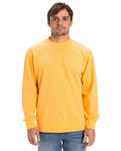 The Quiksilver Mens Salt Water Crew Sweatshirt in Chamois
