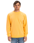The Quiksilver Mens Salt Water Crew Sweatshirt in Chamois