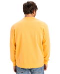 The Quiksilver Mens Salt Water Crew Sweatshirt in Chamois