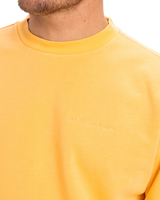 The Quiksilver Mens Salt Water Crew Sweatshirt in Chamois