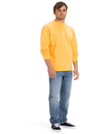 The Quiksilver Mens Salt Water Crew Sweatshirt in Chamois