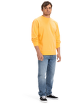 The Quiksilver Mens Salt Water Crew Sweatshirt in Chamois