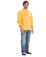 The Quiksilver Mens Salt Water Crew Sweatshirt in Chamois