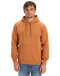 The Quiksilver Mens Comp Logo Hoodie in Bran