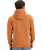 The Quiksilver Mens Comp Logo Hoodie in Bran
