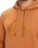The Quiksilver Mens Comp Logo Hoodie in Bran