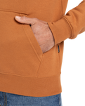 The Quiksilver Mens Comp Logo Hoodie in Bran