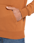 The Quiksilver Mens Comp Logo Hoodie in Bran