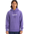 The Quiksilver Mens Fineline Hoodie in Dusted Peri