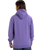 The Quiksilver Mens Fineline Hoodie in Dusted Peri