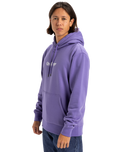 The Quiksilver Mens Fineline Hoodie in Dusted Peri