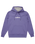 The Quiksilver Mens Fineline Hoodie in Dusted Peri
