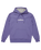 The Quiksilver Mens Fineline Hoodie in Dusted Peri
