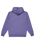 The Quiksilver Mens Fineline Hoodie in Dusted Peri