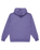 The Quiksilver Mens Fineline Hoodie in Dusted Peri