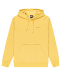 The Quiksilver Mens Graphic Hoodie in Rattan