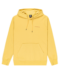 The Quiksilver Mens Graphic Hoodie in Rattan
