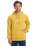 The Quiksilver Mens Fineline Hoodie in Rattan