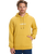 The Quiksilver Mens Fineline Hoodie in Rattan