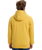 The Quiksilver Mens Fineline Hoodie in Rattan