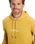 The Quiksilver Mens Fineline Hoodie in Rattan