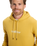 The Quiksilver Mens Fineline Hoodie in Rattan