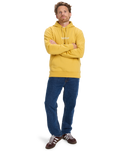 The Quiksilver Mens Fineline Hoodie in Rattan