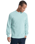 Salt Water Sweatshirt in Blue Haze