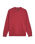 The Quiksilver Mens Salt Water Sweatshirt in Oxblood Red