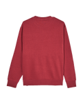 The Quiksilver Mens Salt Water Sweatshirt in Oxblood Red