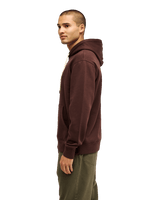 The Quiksilver Mens Salt Water Hoodie in Java